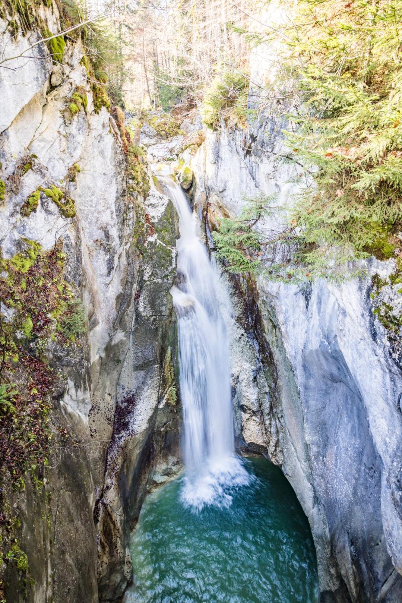 Отель Feuriger Tatzlwurm Байришцелль Экстерьер фото